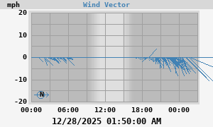 Wind Vector